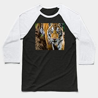 Tiger Baseball T-Shirt